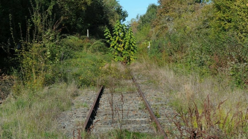La France aura-t-elle enfin un grand plan de remise à niveau du rail français ?