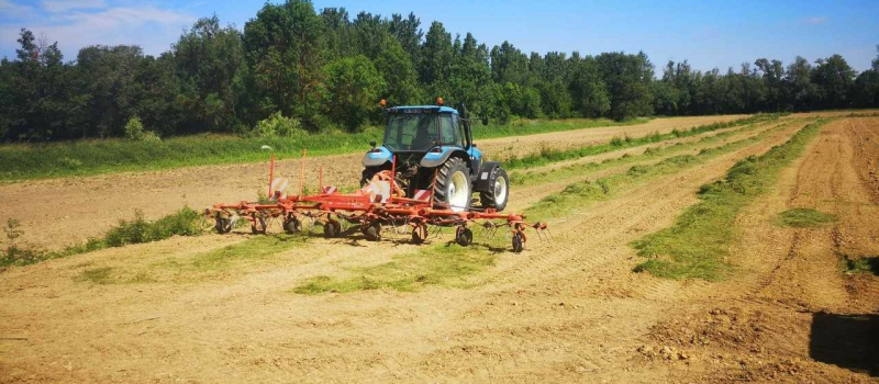 Appel à candidature dans le cadre du projet LIFE Coteaux Gascons : restaurez et équipez vos prairies et landes