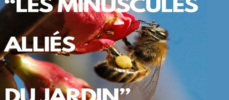 Vos minuscules alliés mis en lumière au CPIE Gersois