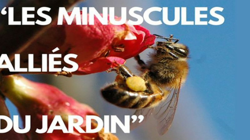 Vos minuscules alliés mis en lumière au CPIE Gersois