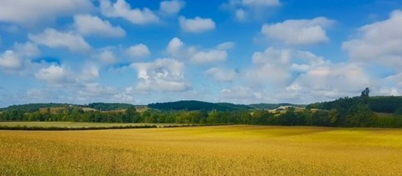 Colère des Agriculteurs -  Carole Delga : « Il faut passer des paroles aux actes, et démontrer que l’on peut concilier agriculture et écologie »