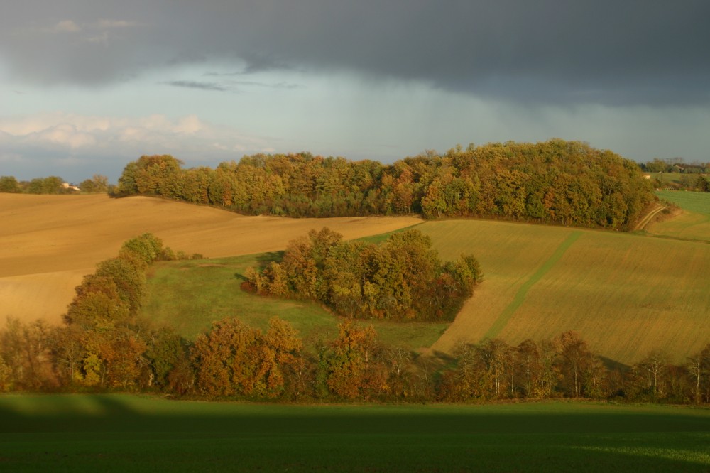 4-formations-boisees-soir0.jpg