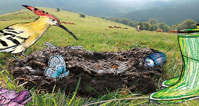 nature.png