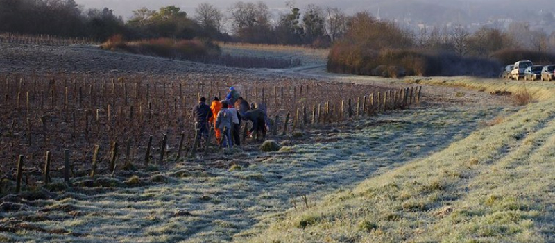 Travail clandestin: un gros coup de filet dans les Landes et le Gers