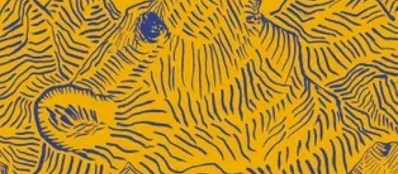 Atelier d'écriture  animé par une romancière Maylis Adhémar