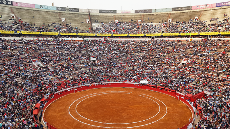 Réouverture des arènes de Mexico : communiqué de la Fédération des Sociétés Taurines de France