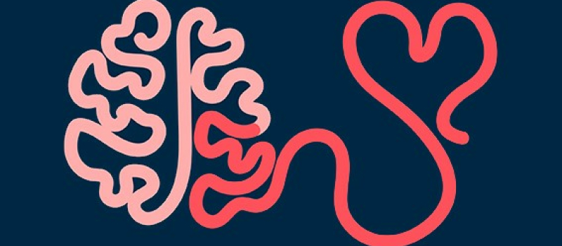 "L'intelligence émotionnelle"