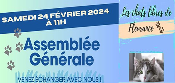 chats libres fleurance bando.jpg