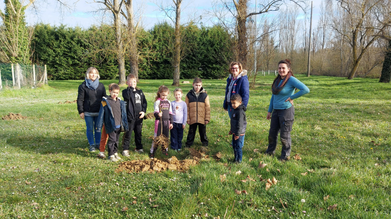 Réduire l'empreinte carbone en plantant des arbres !