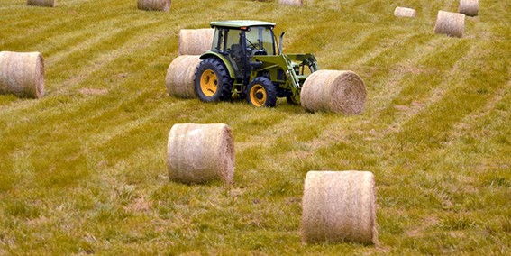 agriculture tracteur .jpg