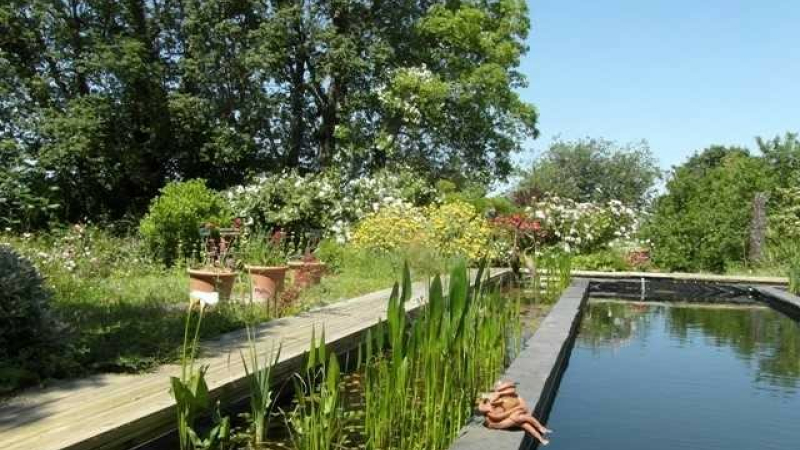 Appel à participation : partagez votre passion pour le jardinage