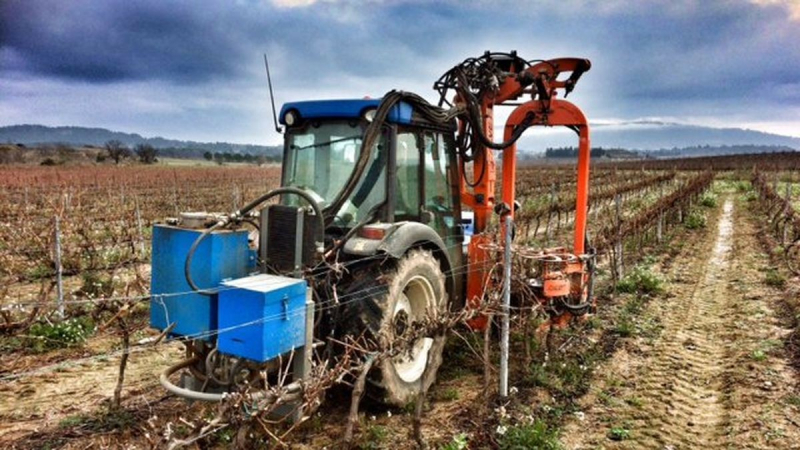 Journée technique sur la taille mécanisée en vigne