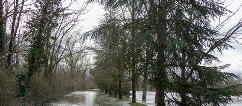 Le sentier de l'Adour et les inondations
