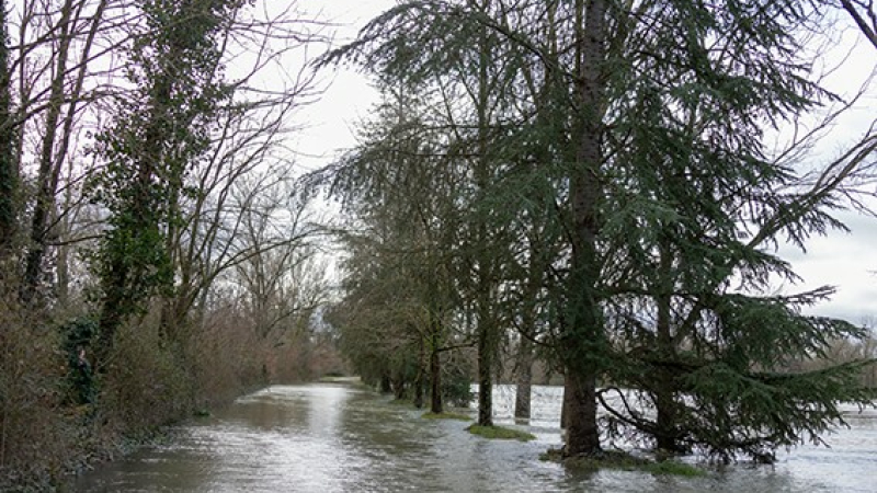 Le sentier de l'Adour et les inondations