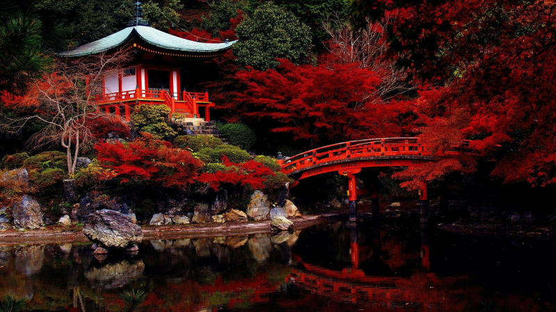 Venez découvrir la langue japonaise à La Varangue!