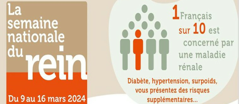 Votre rein, prenez en soin