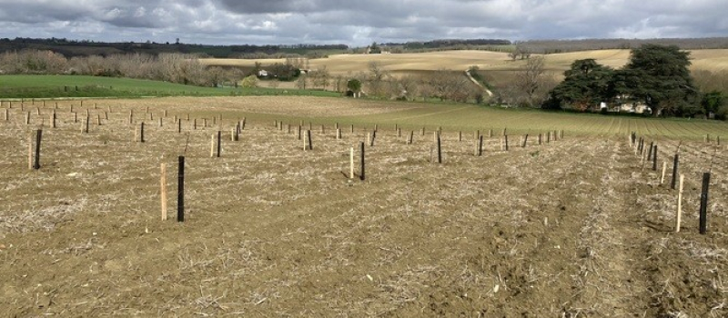 Point sur le projet " Terres Ardentes"