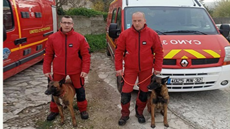 Les chiens de recherche des pompiers gersois dans le Gard
