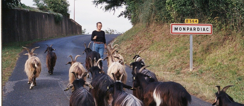 Visite de ferme à Monpardiac avec Les Bô Colis