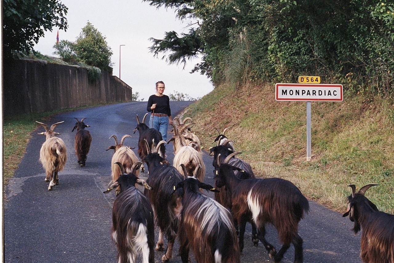Visite de ferme à Monpardiac avec Les Bô Colis
