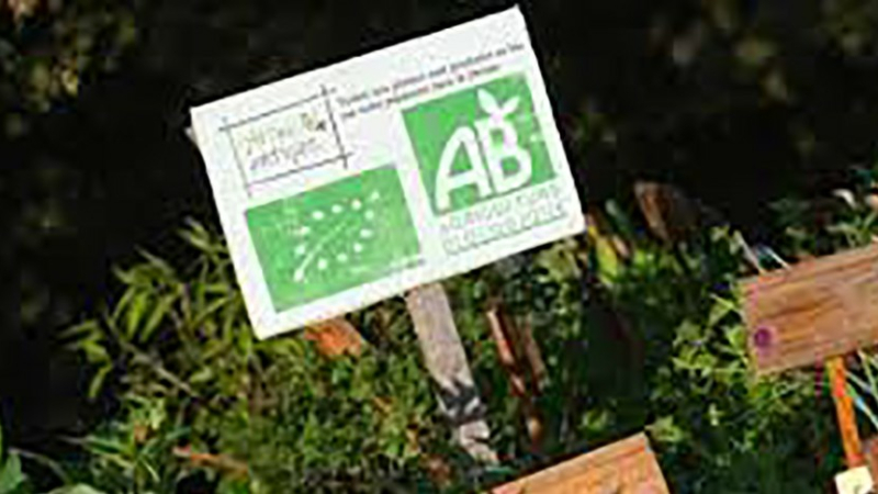 Aides pour les exploitations agricoles biologiques