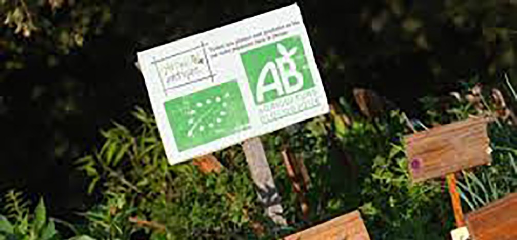 agriculture bio gouv.jpg