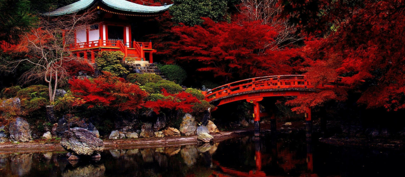 Une découverte de la langue japonaise à La Varangue sur DFM 930 mercredi