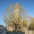 Horaires des messes de la Semaine Sainte à Nogaro, Aignan, Manciet et Magnan