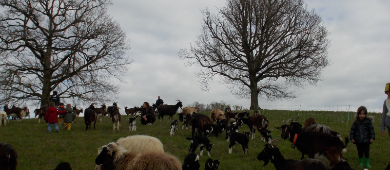 Une Journée à la Ferme avec les Bô Colis