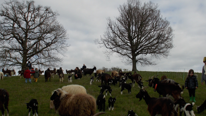Une Journée à la Ferme avec les Bô Colis