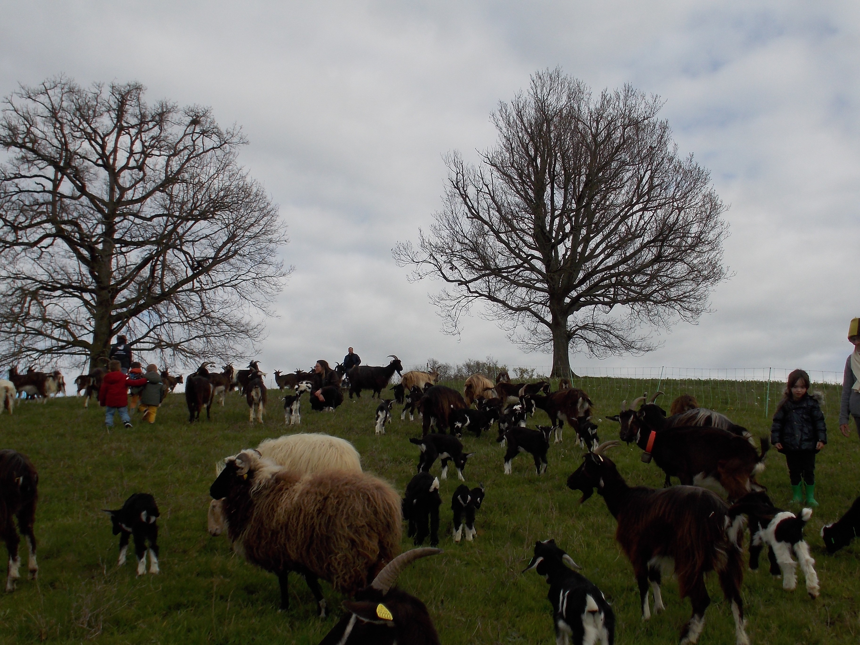 Une Journée à la Ferme avec les Bô Colis