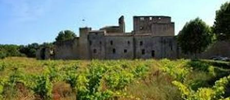 Grand auch cŒur de gascogne : tout un patrimoine mÉdiÉval !