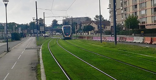 Toulouse_-_Tramway_sur_l'avenue_de_Grande-Bretagne.jpg