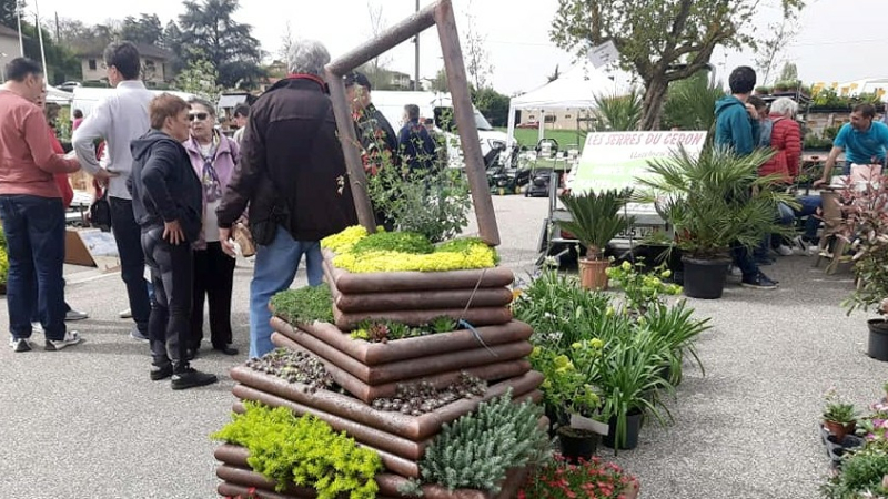 Succès pour la foire au jardinage de Pavie !