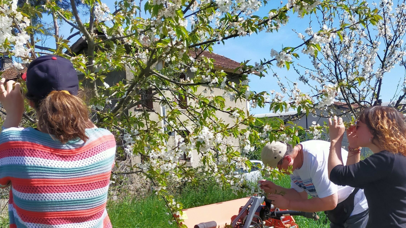 Un défi familial pour accueillir les pollinisateurs dans votre jardin