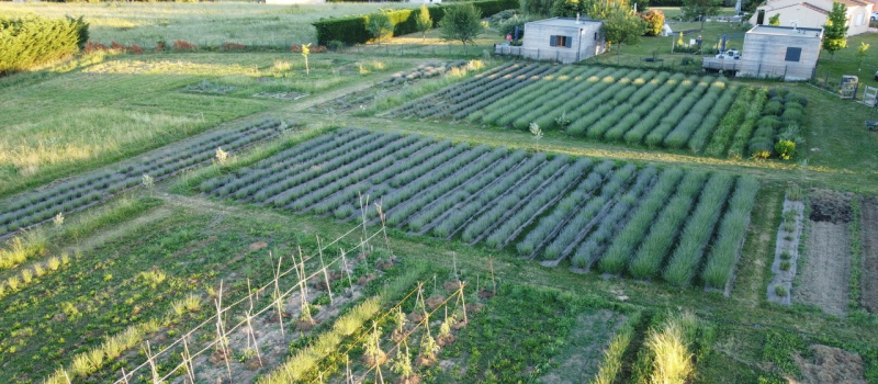 "Jardin des arts et du bien-être", une journée au Domaine d'Elusa