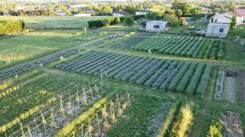 "Jardin des arts et du bien-être", une journée au Domaine d'Elusa