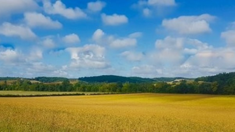 Assemblée générale des Amis de la Terre du Gers