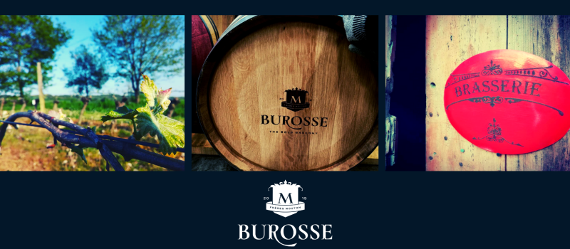 Portes ouvertes au Domaine de Burosse ce week-end
