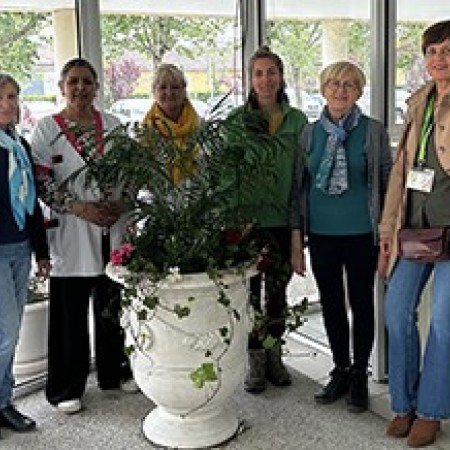 hopital visiteurs st jacques.jpg