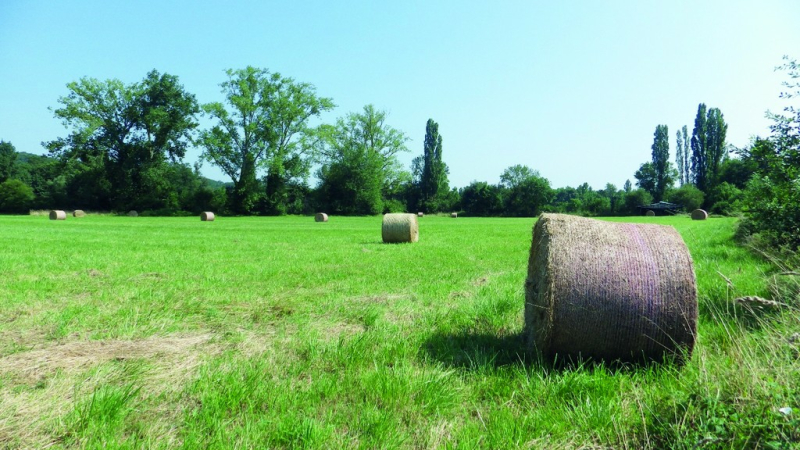 Les associations environnementales ont rencontré le préfet du Gers