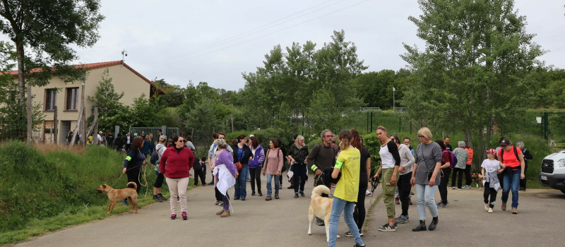 Grande réussite pour la première balade caritative de la SPA du Gers !