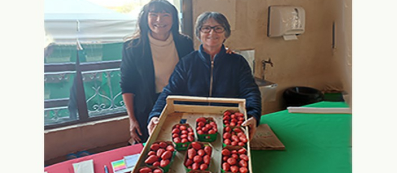 Les fraises de Bars vous attendent sur le marché