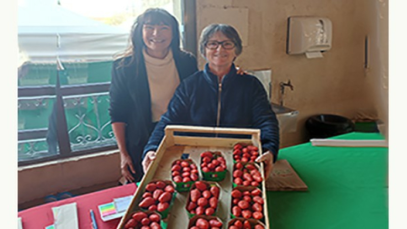 Les fraises de Bars vous attendent sur le marché