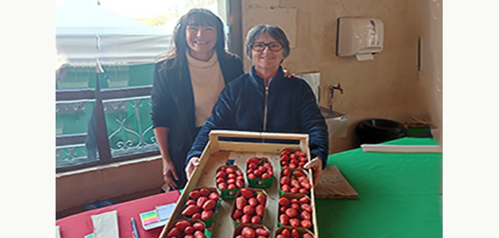 fraises marhes.jpg