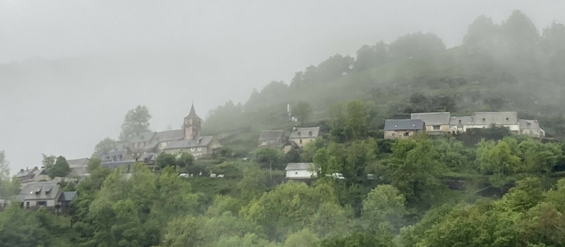 Quarantapes participe à la transhumance
