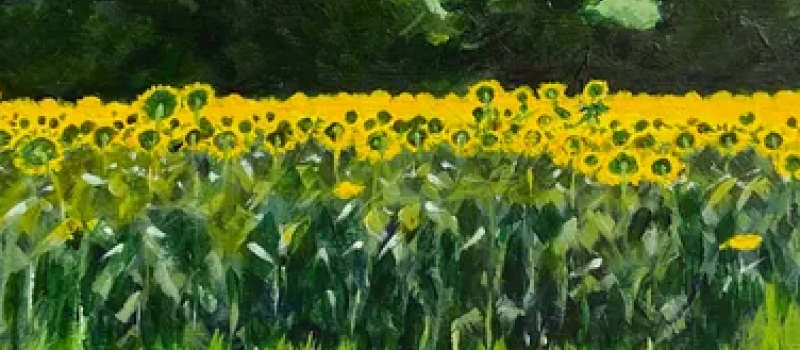 Exposition "Rozès (et plus loin) !