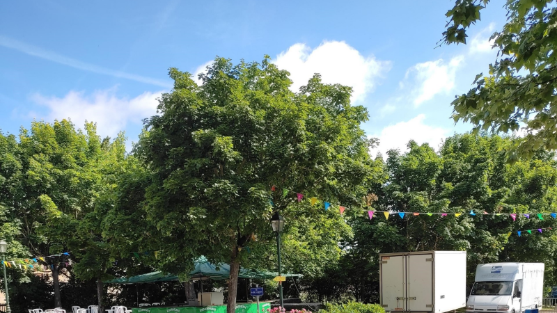 2 jours de Fêtes à ST ELIX D'ASTARAC