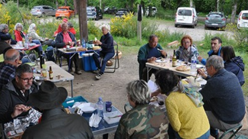 Avec les chercheurs de champignons