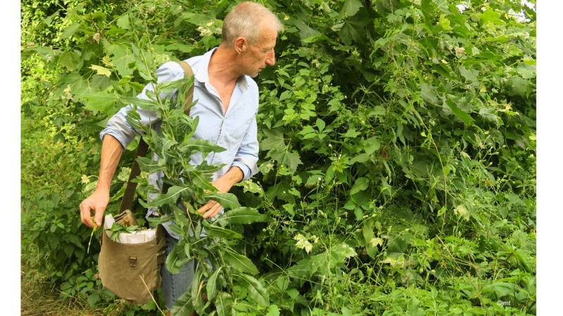 «Les 5 sens au jardin» au Musée du Paysan Gascon de Toujouse